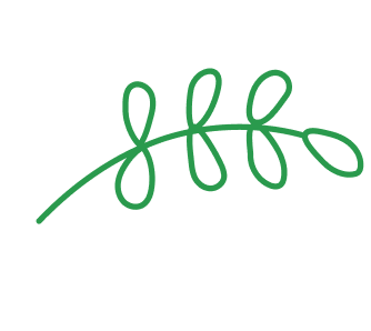 Branch Down