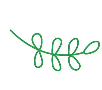 Branch Up